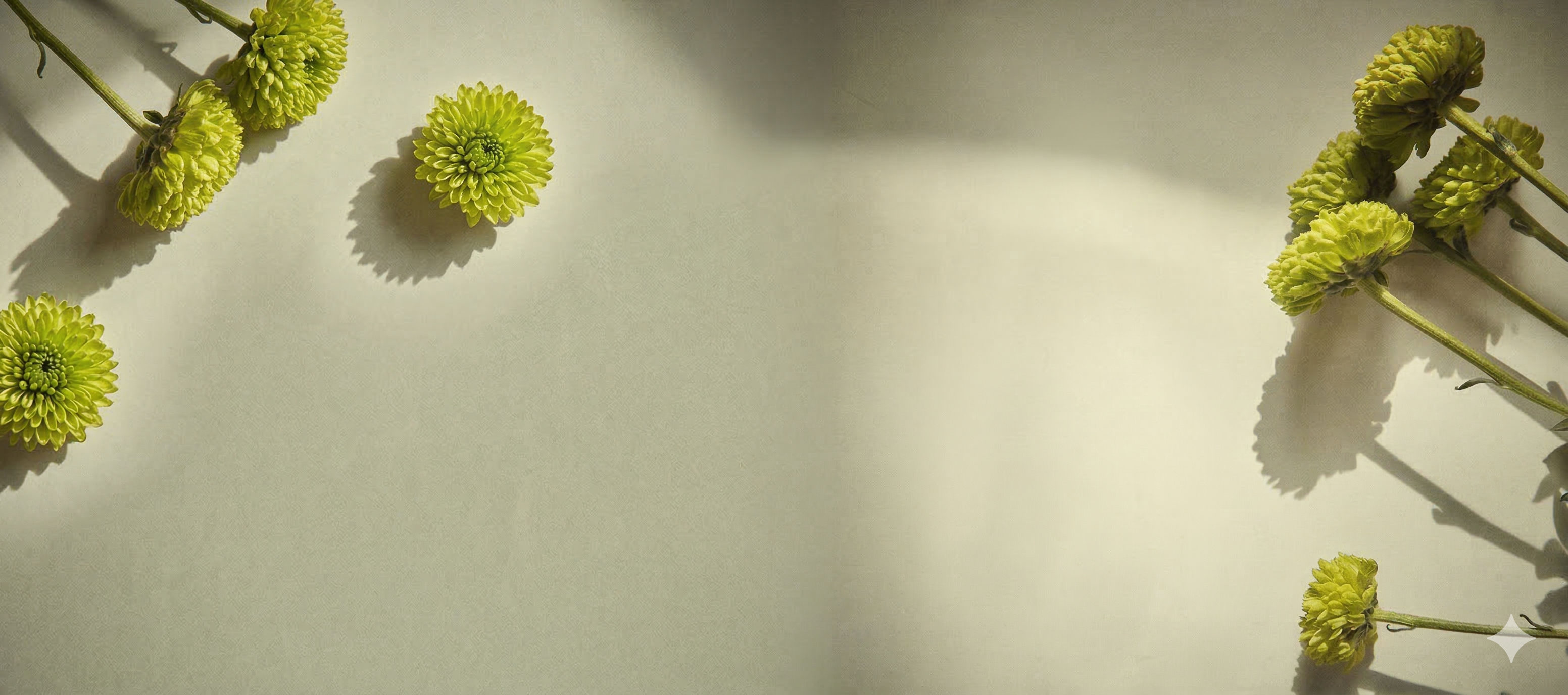 Green flowers arranged on a light beige background