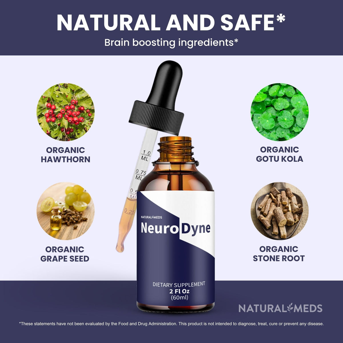 Neurodyne | Dietary Supplement product information